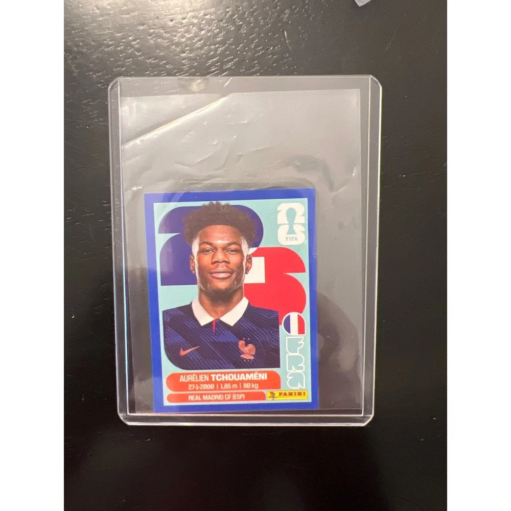 Panini fifa world